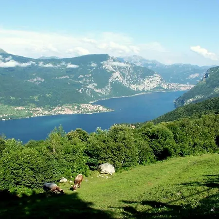 Casa rural - Tipo Biuno Mezzegra